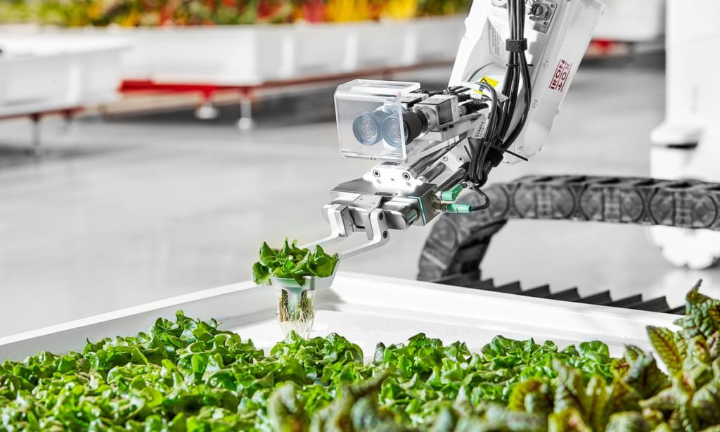 Iron Ox robot picks green vegetables in indoor farm